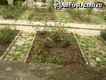 [P08] Doar trandafirii erau infloriti » foto by mitzulik
 - 
<span class="allrVoted glyphicon glyphicon-heart hidden" id="av89348"></span>
<a class="m-l-10 hidden" id="sv89348" onclick="voting_Foto_DelVot(,89348,3210)" role="button">șterge vot <span class="glyphicon glyphicon-remove"></span></a>
<a id="v989348" class=" c-red"  onclick="voting_Foto_SetVot(89348)" role="button"><span class="glyphicon glyphicon-heart-empty"></span> <b>LIKE</b> = Votează poza</a> <img class="hidden"  id="f89348W9" src="/imagini/loader.gif" border="0" /><span class="AjErrMes hidden" id="e89348ErM"></span>