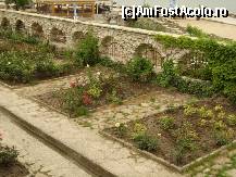 [P09] Diverse specii de trandafiri » foto by mitzulik
 - 
<span class="allrVoted glyphicon glyphicon-heart hidden" id="av89349"></span>
<a class="m-l-10 hidden" id="sv89349" onclick="voting_Foto_DelVot(,89349,3210)" role="button">șterge vot <span class="glyphicon glyphicon-remove"></span></a>
<a id="v989349" class=" c-red"  onclick="voting_Foto_SetVot(89349)" role="button"><span class="glyphicon glyphicon-heart-empty"></span> <b>LIKE</b> = Votează poza</a> <img class="hidden"  id="f89349W9" src="/imagini/loader.gif" border="0" /><span class="AjErrMes hidden" id="e89349ErM"></span>