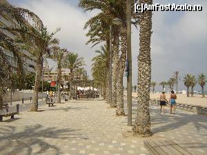 [P20] Plaja San Juan, aproape de Alicante » foto by zuftim
 - 
<span class="allrVoted glyphicon glyphicon-heart hidden" id="av599882"></span>
<a class="m-l-10 hidden" id="sv599882" onclick="voting_Foto_DelVot(,599882,3218)" role="button">șterge vot <span class="glyphicon glyphicon-remove"></span></a>
<a id="v9599882" class=" c-red"  onclick="voting_Foto_SetVot(599882)" role="button"><span class="glyphicon glyphicon-heart-empty"></span> <b>LIKE</b> = Votează poza</a> <img class="hidden"  id="f599882W9" src="/imagini/loader.gif" border="0" /><span class="AjErrMes hidden" id="e599882ErM"></span>