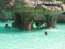 [P06] Aqualandia Benidorm » foto by iulian.chiper
 - 
<span class="allrVoted glyphicon glyphicon-heart hidden" id="av42494"></span>
<a class="m-l-10 hidden" id="sv42494" onclick="voting_Foto_DelVot(,42494,3218)" role="button">șterge vot <span class="glyphicon glyphicon-remove"></span></a>
<a id="v942494" class=" c-red"  onclick="voting_Foto_SetVot(42494)" role="button"><span class="glyphicon glyphicon-heart-empty"></span> <b>LIKE</b> = Votează poza</a> <img class="hidden"  id="f42494W9" src="/imagini/loader.gif" border="0" /><span class="AjErrMes hidden" id="e42494ErM"></span>