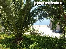 [P13] palmierii de la castelul Santa Barbara - Alicante » foto by sandu.53
 - 
<span class="allrVoted glyphicon glyphicon-heart hidden" id="av159647"></span>
<a class="m-l-10 hidden" id="sv159647" onclick="voting_Foto_DelVot(,159647,3218)" role="button">șterge vot <span class="glyphicon glyphicon-remove"></span></a>
<a id="v9159647" class=" c-red"  onclick="voting_Foto_SetVot(159647)" role="button"><span class="glyphicon glyphicon-heart-empty"></span> <b>LIKE</b> = Votează poza</a> <img class="hidden"  id="f159647W9" src="/imagini/loader.gif" border="0" /><span class="AjErrMes hidden" id="e159647ErM"></span>