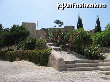 [P20] vegetatie mediteraniana pe scarile castelului Santa Barbara - Alicante » foto by sandu.53
 - 
<span class="allrVoted glyphicon glyphicon-heart hidden" id="av159654"></span>
<a class="m-l-10 hidden" id="sv159654" onclick="voting_Foto_DelVot(,159654,3218)" role="button">șterge vot <span class="glyphicon glyphicon-remove"></span></a>
<a id="v9159654" class=" c-red"  onclick="voting_Foto_SetVot(159654)" role="button"><span class="glyphicon glyphicon-heart-empty"></span> <b>LIKE</b> = Votează poza</a> <img class="hidden"  id="f159654W9" src="/imagini/loader.gif" border="0" /><span class="AjErrMes hidden" id="e159654ErM"></span>