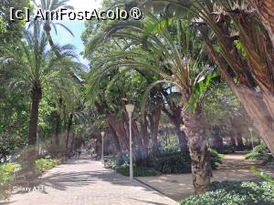 [P36] În parcul oraşului Malaga » foto by nicole33
 - 
<span class="allrVoted glyphicon glyphicon-heart hidden" id="av1500048"></span>
<a class="m-l-10 hidden" id="sv1500048" onclick="voting_Foto_DelVot(,1500048,3219)" role="button">șterge vot <span class="glyphicon glyphicon-remove"></span></a>
<a id="v91500048" class=" c-red"  onclick="voting_Foto_SetVot(1500048)" role="button"><span class="glyphicon glyphicon-heart-empty"></span> <b>LIKE</b> = Votează poza</a> <img class="hidden"  id="f1500048W9" src="/imagini/loader.gif" border="0" /><span class="AjErrMes hidden" id="e1500048ErM"></span>