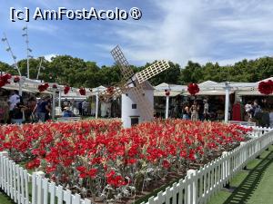 [P43] În parcul oraşului Malaga » foto by nicole33
 - 
<span class="allrVoted glyphicon glyphicon-heart hidden" id="av1500055"></span>
<a class="m-l-10 hidden" id="sv1500055" onclick="voting_Foto_DelVot(,1500055,3219)" role="button">șterge vot <span class="glyphicon glyphicon-remove"></span></a>
<a id="v91500055" class=" c-red"  onclick="voting_Foto_SetVot(1500055)" role="button"><span class="glyphicon glyphicon-heart-empty"></span> <b>LIKE</b> = Votează poza</a> <img class="hidden"  id="f1500055W9" src="/imagini/loader.gif" border="0" /><span class="AjErrMes hidden" id="e1500055ErM"></span>