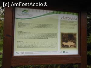 [P22] Sârbi - Ansamblul de arhitectură tehnică populară. Informații - Vâltoarea. » foto by iulianic
 - 
<span class="allrVoted glyphicon glyphicon-heart hidden" id="av1337618"></span>
<a class="m-l-10 hidden" id="sv1337618" onclick="voting_Foto_DelVot(,1337618,3234)" role="button">șterge vot <span class="glyphicon glyphicon-remove"></span></a>
<a id="v91337618" class=" c-red"  onclick="voting_Foto_SetVot(1337618)" role="button"><span class="glyphicon glyphicon-heart-empty"></span> <b>LIKE</b> = Votează poza</a> <img class="hidden"  id="f1337618W9" src="/imagini/loader.gif" border="0" /><span class="AjErrMes hidden" id="e1337618ErM"></span>