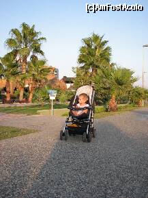 [P19] aceasta era considerata faleza statiunii si seara de plimbam cat 'ne tineau picioarele'iar cealalta,paralela si putin mai ingusta era faleza resortului(daca te plimbai pe faleza resortului fara sa fii cazat aici primeai o amenda de 150 de dolari ) » foto by oanat82
 - 
<span class="allrVoted glyphicon glyphicon-heart hidden" id="av257897"></span>
<a class="m-l-10 hidden" id="sv257897" onclick="voting_Foto_DelVot(,257897,3242)" role="button">șterge vot <span class="glyphicon glyphicon-remove"></span></a>
<a id="v9257897" class=" c-red"  onclick="voting_Foto_SetVot(257897)" role="button"><span class="glyphicon glyphicon-heart-empty"></span> <b>LIKE</b> = Votează poza</a> <img class="hidden"  id="f257897W9" src="/imagini/loader.gif" border="0" /><span class="AjErrMes hidden" id="e257897ErM"></span>