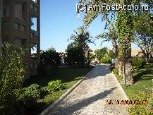 [P37] toate bloculetele erau strabatute de alei, multa vegetatie si liniste! » foto by EDUARD1
 - 
<span class="allrVoted glyphicon glyphicon-heart hidden" id="av23583"></span>
<a class="m-l-10 hidden" id="sv23583" onclick="voting_Foto_DelVot(,23583,3242)" role="button">șterge vot <span class="glyphicon glyphicon-remove"></span></a>
<a id="v923583" class=" c-red"  onclick="voting_Foto_SetVot(23583)" role="button"><span class="glyphicon glyphicon-heart-empty"></span> <b>LIKE</b> = Votează poza</a> <img class="hidden"  id="f23583W9" src="/imagini/loader.gif" border="0" /><span class="AjErrMes hidden" id="e23583ErM"></span>