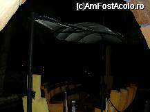 [P19] o noapte furtunoasa la kamelya world » foto by ramo
 - 
<span class="allrVoted glyphicon glyphicon-heart hidden" id="av17545"></span>
<a class="m-l-10 hidden" id="sv17545" onclick="voting_Foto_DelVot(,17545,3242)" role="button">șterge vot <span class="glyphicon glyphicon-remove"></span></a>
<a id="v917545" class=" c-red"  onclick="voting_Foto_SetVot(17545)" role="button"><span class="glyphicon glyphicon-heart-empty"></span> <b>LIKE</b> = Votează poza</a> <img class="hidden"  id="f17545W9" src="/imagini/loader.gif" border="0" /><span class="AjErrMes hidden" id="e17545ErM"></span>