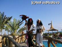 [P20] animtori pt. fotografii, Kamelya world » foto by ramo
 - 
<span class="allrVoted glyphicon glyphicon-heart hidden" id="av17546"></span>
<a class="m-l-10 hidden" id="sv17546" onclick="voting_Foto_DelVot(,17546,3242)" role="button">șterge vot <span class="glyphicon glyphicon-remove"></span></a>
<a id="v917546" class=" c-red"  onclick="voting_Foto_SetVot(17546)" role="button"><span class="glyphicon glyphicon-heart-empty"></span> <b>LIKE</b> = Votează poza</a> <img class="hidden"  id="f17546W9" src="/imagini/loader.gif" border="0" /><span class="AjErrMes hidden" id="e17546ErM"></span>