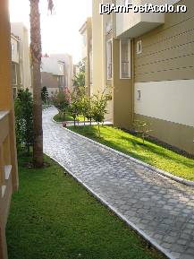 [P08] kamelya -zona vilelor renovate, LINISTE » foto by ramo
 - 
<span class="allrVoted glyphicon glyphicon-heart hidden" id="av17534"></span>
<a class="m-l-10 hidden" id="sv17534" onclick="voting_Foto_DelVot(,17534,3242)" role="button">șterge vot <span class="glyphicon glyphicon-remove"></span></a>
<a id="v917534" class=" c-red"  onclick="voting_Foto_SetVot(17534)" role="button"><span class="glyphicon glyphicon-heart-empty"></span> <b>LIKE</b> = Votează poza</a> <img class="hidden"  id="f17534W9" src="/imagini/loader.gif" border="0" /><span class="AjErrMes hidden" id="e17534ErM"></span>