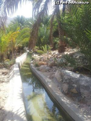 [P10] Wadi Bani Khalid » foto by Mirna
 - 
<span class="allrVoted glyphicon glyphicon-heart hidden" id="av624580"></span>
<a class="m-l-10 hidden" id="sv624580" onclick="voting_Foto_DelVot(,624580,3254)" role="button">șterge vot <span class="glyphicon glyphicon-remove"></span></a>
<a id="v9624580" class=" c-red"  onclick="voting_Foto_SetVot(624580)" role="button"><span class="glyphicon glyphicon-heart-empty"></span> <b>LIKE</b> = Votează poza</a> <img class="hidden"  id="f624580W9" src="/imagini/loader.gif" border="0" /><span class="AjErrMes hidden" id="e624580ErM"></span>