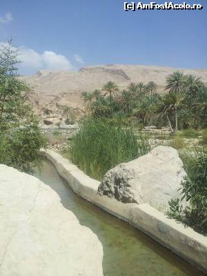 [P13] Wadi Bani Khalid » foto by Mirna
 - 
<span class="allrVoted glyphicon glyphicon-heart hidden" id="av624583"></span>
<a class="m-l-10 hidden" id="sv624583" onclick="voting_Foto_DelVot(,624583,3254)" role="button">șterge vot <span class="glyphicon glyphicon-remove"></span></a>
<a id="v9624583" class=" c-red"  onclick="voting_Foto_SetVot(624583)" role="button"><span class="glyphicon glyphicon-heart-empty"></span> <b>LIKE</b> = Votează poza</a> <img class="hidden"  id="f624583W9" src="/imagini/loader.gif" border="0" /><span class="AjErrMes hidden" id="e624583ErM"></span>