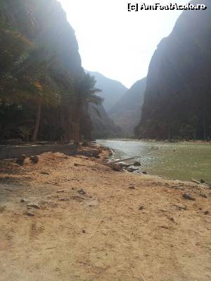 [P15] Wadi Shab » foto by Mirna
 - 
<span class="allrVoted glyphicon glyphicon-heart hidden" id="av624586"></span>
<a class="m-l-10 hidden" id="sv624586" onclick="voting_Foto_DelVot(,624586,3254)" role="button">șterge vot <span class="glyphicon glyphicon-remove"></span></a>
<a id="v9624586" class=" c-red"  onclick="voting_Foto_SetVot(624586)" role="button"><span class="glyphicon glyphicon-heart-empty"></span> <b>LIKE</b> = Votează poza</a> <img class="hidden"  id="f624586W9" src="/imagini/loader.gif" border="0" /><span class="AjErrMes hidden" id="e624586ErM"></span>