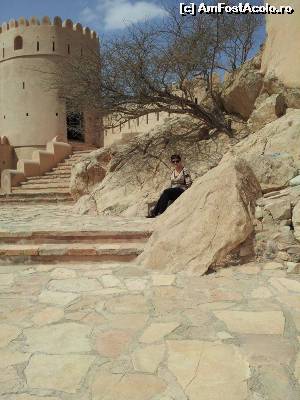 [P03] Nakhal Fort » foto by Mirna
 - 
<span class="allrVoted glyphicon glyphicon-heart hidden" id="av624571"></span>
<a class="m-l-10 hidden" id="sv624571" onclick="voting_Foto_DelVot(,624571,3254)" role="button">șterge vot <span class="glyphicon glyphicon-remove"></span></a>
<a id="v9624571" class=" c-red"  onclick="voting_Foto_SetVot(624571)" role="button"><span class="glyphicon glyphicon-heart-empty"></span> <b>LIKE</b> = Votează poza</a> <img class="hidden"  id="f624571W9" src="/imagini/loader.gif" border="0" /><span class="AjErrMes hidden" id="e624571ErM"></span>