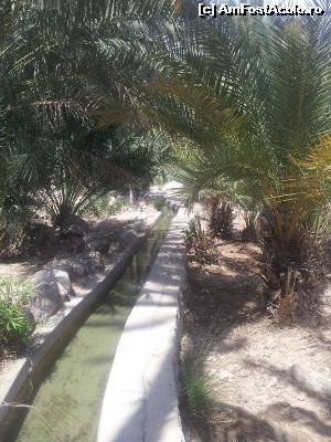 [P09] Wadi Bani Khalid » foto by Mirna
 - 
<span class="allrVoted glyphicon glyphicon-heart hidden" id="av624579"></span>
<a class="m-l-10 hidden" id="sv624579" onclick="voting_Foto_DelVot(,624579,3254)" role="button">șterge vot <span class="glyphicon glyphicon-remove"></span></a>
<a id="v9624579" class=" c-red"  onclick="voting_Foto_SetVot(624579)" role="button"><span class="glyphicon glyphicon-heart-empty"></span> <b>LIKE</b> = Votează poza</a> <img class="hidden"  id="f624579W9" src="/imagini/loader.gif" border="0" /><span class="AjErrMes hidden" id="e624579ErM"></span>