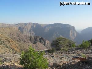 [P35] Jabal Akhdar » foto by Mirna
 - 
<span class="allrVoted glyphicon glyphicon-heart hidden" id="av624813"></span>
<a class="m-l-10 hidden" id="sv624813" onclick="voting_Foto_DelVot(,624813,3254)" role="button">șterge vot <span class="glyphicon glyphicon-remove"></span></a>
<a id="v9624813" class=" c-red"  onclick="voting_Foto_SetVot(624813)" role="button"><span class="glyphicon glyphicon-heart-empty"></span> <b>LIKE</b> = Votează poza</a> <img class="hidden"  id="f624813W9" src="/imagini/loader.gif" border="0" /><span class="AjErrMes hidden" id="e624813ErM"></span>