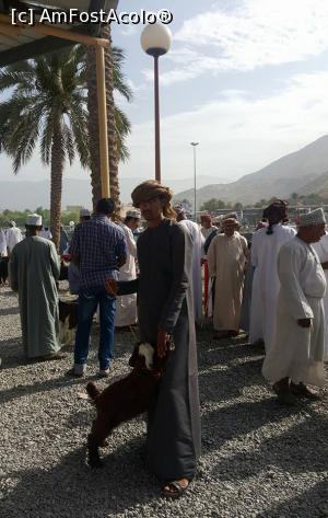 [P01] La targul de animale din Nizwa » foto by lizuk
 - 
<span class="allrVoted glyphicon glyphicon-heart hidden" id="av754129"></span>
<a class="m-l-10 hidden" id="sv754129" onclick="voting_Foto_DelVot(,754129,3254)" role="button">șterge vot <span class="glyphicon glyphicon-remove"></span></a>
<a id="v9754129" class=" c-red"  onclick="voting_Foto_SetVot(754129)" role="button"><span class="glyphicon glyphicon-heart-empty"></span> <b>LIKE</b> = Votează poza</a> <img class="hidden"  id="f754129W9" src="/imagini/loader.gif" border="0" /><span class="AjErrMes hidden" id="e754129ErM"></span>