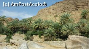 [P11] Palmierii strajuiesc intrarea in canionul Wadi Bani Khalid » foto by lizuk
 - 
<span class="allrVoted glyphicon glyphicon-heart hidden" id="av754140"></span>
<a class="m-l-10 hidden" id="sv754140" onclick="voting_Foto_DelVot(,754140,3254)" role="button">șterge vot <span class="glyphicon glyphicon-remove"></span></a>
<a id="v9754140" class=" c-red"  onclick="voting_Foto_SetVot(754140)" role="button"><span class="glyphicon glyphicon-heart-empty"></span> <b>LIKE</b> = Votează poza</a> <img class="hidden"  id="f754140W9" src="/imagini/loader.gif" border="0" /><span class="AjErrMes hidden" id="e754140ErM"></span>