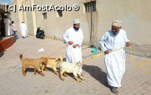 [P04] Oamenii astia care isi cumparau cate o capra sau un vitel veneau la targ cu masini luxoase, cu motoare super-puternice! La finalul targului puneau animalul in masina si plecau :-)  » foto by lizuk
 - 
<span class="allrVoted glyphicon glyphicon-heart hidden" id="av754132"></span>
<a class="m-l-10 hidden" id="sv754132" onclick="voting_Foto_DelVot(,754132,3254)" role="button">șterge vot <span class="glyphicon glyphicon-remove"></span></a>
<a id="v9754132" class=" c-red"  onclick="voting_Foto_SetVot(754132)" role="button"><span class="glyphicon glyphicon-heart-empty"></span> <b>LIKE</b> = Votează poza</a> <img class="hidden"  id="f754132W9" src="/imagini/loader.gif" border="0" /><span class="AjErrMes hidden" id="e754132ErM"></span>