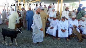 [P06] Cumparatorii stau asezati in cerc iar cei care au ceva de vanzare plimba animalul de jur imprejur si asteapta oferte » foto by lizuk
 - 
<span class="allrVoted glyphicon glyphicon-heart hidden" id="av754134"></span>
<a class="m-l-10 hidden" id="sv754134" onclick="voting_Foto_DelVot(,754134,3254)" role="button">șterge vot <span class="glyphicon glyphicon-remove"></span></a>
<a id="v9754134" class=" c-red"  onclick="voting_Foto_SetVot(754134)" role="button"><span class="glyphicon glyphicon-heart-empty"></span> <b>LIKE</b> = Votează poza</a> <img class="hidden"  id="f754134W9" src="/imagini/loader.gif" border="0" /><span class="AjErrMes hidden" id="e754134ErM"></span>