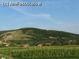 [P15] Poarta Apusenilor 2. Cum spuneam in review. Dealuri molcome va inconjuara. In mijlocul pozei daca sunteti atenti puteti zari o bisericuta.  » foto by vega06
 - 
<span class="allrVoted glyphicon glyphicon-heart hidden" id="av740109"></span>
<a class="m-l-10 hidden" id="sv740109" onclick="voting_Foto_DelVot(,740109,3280)" role="button">șterge vot <span class="glyphicon glyphicon-remove"></span></a>
<a id="v9740109" class=" c-red"  onclick="voting_Foto_SetVot(740109)" role="button"><span class="glyphicon glyphicon-heart-empty"></span> <b>LIKE</b> = Votează poza</a> <img class="hidden"  id="f740109W9" src="/imagini/loader.gif" border="0" /><span class="AjErrMes hidden" id="e740109ErM"></span>
