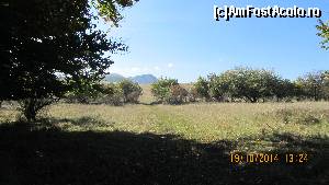 [P15] MAI ESTE PUTIN DE AICI... PANA LA INFINIT! RASPLATA? PIATRA SECUIULUI SE PROFILEAZA IN DEPARTARI!  » foto by NAZARICA
 - 
<span class="allrVoted glyphicon glyphicon-heart hidden" id="av588797"></span>
<a class="m-l-10 hidden" id="sv588797" onclick="voting_Foto_DelVot(,588797,3280)" role="button">șterge vot <span class="glyphicon glyphicon-remove"></span></a>
<a id="v9588797" class=" c-red"  onclick="voting_Foto_SetVot(588797)" role="button"><span class="glyphicon glyphicon-heart-empty"></span> <b>LIKE</b> = Votează poza</a> <img class="hidden"  id="f588797W9" src="/imagini/loader.gif" border="0" /><span class="AjErrMes hidden" id="e588797ErM"></span>