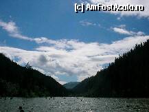 [P04] copacii taiati ies din apa » foto by cris1982
 - 
<span class="allrVoted glyphicon glyphicon-heart hidden" id="av127211"></span>
<a class="m-l-10 hidden" id="sv127211" onclick="voting_Foto_DelVot(,127211,3314)" role="button">șterge vot <span class="glyphicon glyphicon-remove"></span></a>
<a id="v9127211" class=" c-red"  onclick="voting_Foto_SetVot(127211)" role="button"><span class="glyphicon glyphicon-heart-empty"></span> <b>LIKE</b> = Votează poza</a> <img class="hidden"  id="f127211W9" src="/imagini/loader.gif" border="0" /><span class="AjErrMes hidden" id="e127211ErM"></span>