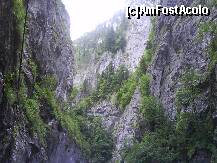 [P01] CHEILE BICAZULUI » foto by lica baesu
 - 
<span class="allrVoted glyphicon glyphicon-heart hidden" id="av157586"></span>
<a class="m-l-10 hidden" id="sv157586" onclick="voting_Foto_DelVot(,157586,3314)" role="button">șterge vot <span class="glyphicon glyphicon-remove"></span></a>
<a id="v9157586" class=" c-red"  onclick="voting_Foto_SetVot(157586)" role="button"><span class="glyphicon glyphicon-heart-empty"></span> <b>LIKE</b> = Votează poza</a> <img class="hidden"  id="f157586W9" src="/imagini/loader.gif" border="0" /><span class="AjErrMes hidden" id="e157586ErM"></span>