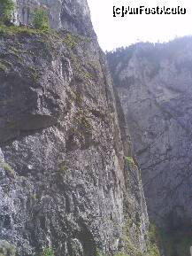 [P10] CHEILE BICAZULUI » foto by lica baesu
 - 
<span class="allrVoted glyphicon glyphicon-heart hidden" id="av157595"></span>
<a class="m-l-10 hidden" id="sv157595" onclick="voting_Foto_DelVot(,157595,3314)" role="button">șterge vot <span class="glyphicon glyphicon-remove"></span></a>
<a id="v9157595" class=" c-red"  onclick="voting_Foto_SetVot(157595)" role="button"><span class="glyphicon glyphicon-heart-empty"></span> <b>LIKE</b> = Votează poza</a> <img class="hidden"  id="f157595W9" src="/imagini/loader.gif" border="0" /><span class="AjErrMes hidden" id="e157595ErM"></span>