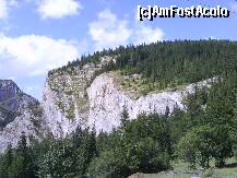 [P12] M-TII HASMAS-LA TREI FANTANI » foto by lica baesu
 - 
<span class="allrVoted glyphicon glyphicon-heart hidden" id="av157597"></span>
<a class="m-l-10 hidden" id="sv157597" onclick="voting_Foto_DelVot(,157597,3314)" role="button">șterge vot <span class="glyphicon glyphicon-remove"></span></a>
<a id="v9157597" class=" c-red"  onclick="voting_Foto_SetVot(157597)" role="button"><span class="glyphicon glyphicon-heart-empty"></span> <b>LIKE</b> = Votează poza</a> <img class="hidden"  id="f157597W9" src="/imagini/loader.gif" border="0" /><span class="AjErrMes hidden" id="e157597ErM"></span>