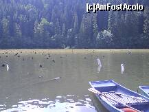 [P14] LACU ROSU-barci pt turisti » foto by lica baesu
 - 
<span class="allrVoted glyphicon glyphicon-heart hidden" id="av157599"></span>
<a class="m-l-10 hidden" id="sv157599" onclick="voting_Foto_DelVot(,157599,3314)" role="button">șterge vot <span class="glyphicon glyphicon-remove"></span></a>
<a id="v9157599" class=" c-red"  onclick="voting_Foto_SetVot(157599)" role="button"><span class="glyphicon glyphicon-heart-empty"></span> <b>LIKE</b> = Votează poza</a> <img class="hidden"  id="f157599W9" src="/imagini/loader.gif" border="0" /><span class="AjErrMes hidden" id="e157599ErM"></span>