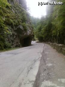 [P15] CHEILE BICAZULUI-GATUL IADULUI » foto by lica baesu
 - 
<span class="allrVoted glyphicon glyphicon-heart hidden" id="av157600"></span>
<a class="m-l-10 hidden" id="sv157600" onclick="voting_Foto_DelVot(,157600,3314)" role="button">șterge vot <span class="glyphicon glyphicon-remove"></span></a>
<a id="v9157600" class=" c-red"  onclick="voting_Foto_SetVot(157600)" role="button"><span class="glyphicon glyphicon-heart-empty"></span> <b>LIKE</b> = Votează poza</a> <img class="hidden"  id="f157600W9" src="/imagini/loader.gif" border="0" /><span class="AjErrMes hidden" id="e157600ErM"></span>