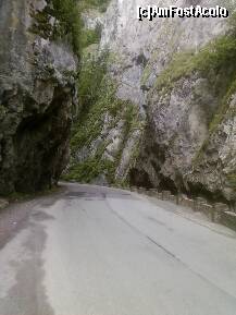 [P16] CHAILE BICAZULUI » foto by lica baesu
 - 
<span class="allrVoted glyphicon glyphicon-heart hidden" id="av157601"></span>
<a class="m-l-10 hidden" id="sv157601" onclick="voting_Foto_DelVot(,157601,3314)" role="button">șterge vot <span class="glyphicon glyphicon-remove"></span></a>
<a id="v9157601" class=" c-red"  onclick="voting_Foto_SetVot(157601)" role="button"><span class="glyphicon glyphicon-heart-empty"></span> <b>LIKE</b> = Votează poza</a> <img class="hidden"  id="f157601W9" src="/imagini/loader.gif" border="0" /><span class="AjErrMes hidden" id="e157601ErM"></span>