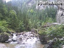 [P04] CHEILE BICAZULUI-PARAUL BICAZ » foto by lica baesu
 - 
<span class="allrVoted glyphicon glyphicon-heart hidden" id="av157589"></span>
<a class="m-l-10 hidden" id="sv157589" onclick="voting_Foto_DelVot(,157589,3314)" role="button">șterge vot <span class="glyphicon glyphicon-remove"></span></a>
<a id="v9157589" class=" c-red"  onclick="voting_Foto_SetVot(157589)" role="button"><span class="glyphicon glyphicon-heart-empty"></span> <b>LIKE</b> = Votează poza</a> <img class="hidden"  id="f157589W9" src="/imagini/loader.gif" border="0" /><span class="AjErrMes hidden" id="e157589ErM"></span>