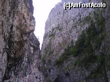 [P05] CHEILE BICAZULUI » foto by lica baesu
 - 
<span class="allrVoted glyphicon glyphicon-heart hidden" id="av157590"></span>
<a class="m-l-10 hidden" id="sv157590" onclick="voting_Foto_DelVot(,157590,3314)" role="button">șterge vot <span class="glyphicon glyphicon-remove"></span></a>
<a id="v9157590" class=" c-red"  onclick="voting_Foto_SetVot(157590)" role="button"><span class="glyphicon glyphicon-heart-empty"></span> <b>LIKE</b> = Votează poza</a> <img class="hidden"  id="f157590W9" src="/imagini/loader.gif" border="0" /><span class="AjErrMes hidden" id="e157590ErM"></span>