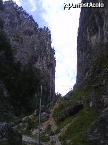 [P07] CHEILE BICAZULUI-CARARI DE DRUMETIE » foto by lica baesu
 - 
<span class="allrVoted glyphicon glyphicon-heart hidden" id="av157592"></span>
<a class="m-l-10 hidden" id="sv157592" onclick="voting_Foto_DelVot(,157592,3314)" role="button">șterge vot <span class="glyphicon glyphicon-remove"></span></a>
<a id="v9157592" class=" c-red"  onclick="voting_Foto_SetVot(157592)" role="button"><span class="glyphicon glyphicon-heart-empty"></span> <b>LIKE</b> = Votează poza</a> <img class="hidden"  id="f157592W9" src="/imagini/loader.gif" border="0" /><span class="AjErrMes hidden" id="e157592ErM"></span>