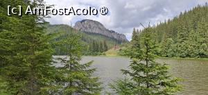 [P01] Lacul Rosu - Plimbare in jurul lacului. » foto by iulianic
 - 
<span class="allrVoted glyphicon glyphicon-heart hidden" id="av1538282"></span>
<a class="m-l-10 hidden" id="sv1538282" onclick="voting_Foto_DelVot(,1538282,3314)" role="button">șterge vot <span class="glyphicon glyphicon-remove"></span></a>
<a id="v91538282" class=" c-red"  onclick="voting_Foto_SetVot(1538282)" role="button"><span class="glyphicon glyphicon-heart-empty"></span> <b>LIKE</b> = Votează poza</a> <img class="hidden"  id="f1538282W9" src="/imagini/loader.gif" border="0" /><span class="AjErrMes hidden" id="e1538282ErM"></span>