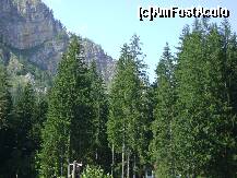 [P21] Lacul Rosu - o priveliste superba la iesirea din statiune spre Cheile Bicazului » foto by biancuta
 - 
<span class="allrVoted glyphicon glyphicon-heart hidden" id="av128830"></span>
<a class="m-l-10 hidden" id="sv128830" onclick="voting_Foto_DelVot(,128830,3314)" role="button">șterge vot <span class="glyphicon glyphicon-remove"></span></a>
<a id="v9128830" class=" c-red"  onclick="voting_Foto_SetVot(128830)" role="button"><span class="glyphicon glyphicon-heart-empty"></span> <b>LIKE</b> = Votează poza</a> <img class="hidden"  id="f128830W9" src="/imagini/loader.gif" border="0" /><span class="AjErrMes hidden" id="e128830ErM"></span>