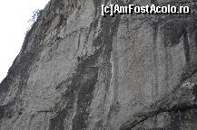 [P10] inca putin si va reusi! intre timp ne adunam cu totii sa privim cu sufletul la gura  isprava » foto by Sanziana
 - 
<span class="allrVoted glyphicon glyphicon-heart hidden" id="av145184"></span>
<a class="m-l-10 hidden" id="sv145184" onclick="voting_Foto_DelVot(,145184,3314)" role="button">șterge vot <span class="glyphicon glyphicon-remove"></span></a>
<a id="v9145184" class=" c-red"  onclick="voting_Foto_SetVot(145184)" role="button"><span class="glyphicon glyphicon-heart-empty"></span> <b>LIKE</b> = Votează poza</a> <img class="hidden"  id="f145184W9" src="/imagini/loader.gif" border="0" /><span class="AjErrMes hidden" id="e145184ErM"></span>