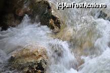 [P22]  -- <small>// FĂRĂ DESCRIERE</small> » foto by Sanziana
 - 
<span class="allrVoted glyphicon glyphicon-heart hidden" id="av145309"></span>
<a class="m-l-10 hidden" id="sv145309" onclick="voting_Foto_DelVot(,145309,3314)" role="button">șterge vot <span class="glyphicon glyphicon-remove"></span></a>
<a id="v9145309" class=" c-red"  onclick="voting_Foto_SetVot(145309)" role="button"><span class="glyphicon glyphicon-heart-empty"></span> <b>LIKE</b> = Votează poza</a> <img class="hidden"  id="f145309W9" src="/imagini/loader.gif" border="0" /><span class="AjErrMes hidden" id="e145309ErM"></span>