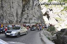 [P24] hai la shopinguiala! » foto by Sanziana
 - 
<span class="allrVoted glyphicon glyphicon-heart hidden" id="av145328"></span>
<a class="m-l-10 hidden" id="sv145328" onclick="voting_Foto_DelVot(,145328,3314)" role="button">șterge vot <span class="glyphicon glyphicon-remove"></span></a>
<a id="v9145328" class=" c-red"  onclick="voting_Foto_SetVot(145328)" role="button"><span class="glyphicon glyphicon-heart-empty"></span> <b>LIKE</b> = Votează poza</a> <img class="hidden"  id="f145328W9" src="/imagini/loader.gif" border="0" /><span class="AjErrMes hidden" id="e145328ErM"></span>