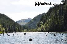 [P03] un decor de vis-lacul Rosu! » foto by Sanziana
 - 
<span class="allrVoted glyphicon glyphicon-heart hidden" id="av145147"></span>
<a class="m-l-10 hidden" id="sv145147" onclick="voting_Foto_DelVot(,145147,3314)" role="button">șterge vot <span class="glyphicon glyphicon-remove"></span></a>
<a id="v9145147" class=" c-red"  onclick="voting_Foto_SetVot(145147)" role="button"><span class="glyphicon glyphicon-heart-empty"></span> <b>LIKE</b> = Votează poza</a> <img class="hidden"  id="f145147W9" src="/imagini/loader.gif" border="0" /><span class="AjErrMes hidden" id="e145147ErM"></span>