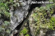 [P05] oare ce o fi printre stanci? voi stiti? » foto by Sanziana
 - 
<span class="allrVoted glyphicon glyphicon-heart hidden" id="av145159"></span>
<a class="m-l-10 hidden" id="sv145159" onclick="voting_Foto_DelVot(,145159,3314)" role="button">șterge vot <span class="glyphicon glyphicon-remove"></span></a>
<a id="v9145159" class=" c-red"  onclick="voting_Foto_SetVot(145159)" role="button"><span class="glyphicon glyphicon-heart-empty"></span> <b>LIKE</b> = Votează poza</a> <img class="hidden"  id="f145159W9" src="/imagini/loader.gif" border="0" /><span class="AjErrMes hidden" id="e145159ErM"></span>