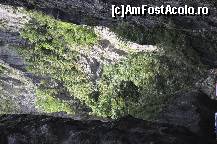 [P06] Cheile Bicazului-fotografie de pe masina:)))))) » foto by Sanziana
 - 
<span class="allrVoted glyphicon glyphicon-heart hidden" id="av145163"></span>
<a class="m-l-10 hidden" id="sv145163" onclick="voting_Foto_DelVot(,145163,3314)" role="button">șterge vot <span class="glyphicon glyphicon-remove"></span></a>
<a id="v9145163" class=" c-red"  onclick="voting_Foto_SetVot(145163)" role="button"><span class="glyphicon glyphicon-heart-empty"></span> <b>LIKE</b> = Votează poza</a> <img class="hidden"  id="f145163W9" src="/imagini/loader.gif" border="0" /><span class="AjErrMes hidden" id="e145163ErM"></span>