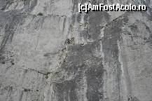 [P09] o incercare temerara de a cuceri muntele » foto by Sanziana
 - 
<span class="allrVoted glyphicon glyphicon-heart hidden" id="av145178"></span>
<a class="m-l-10 hidden" id="sv145178" onclick="voting_Foto_DelVot(,145178,3314)" role="button">șterge vot <span class="glyphicon glyphicon-remove"></span></a>
<a id="v9145178" class=" c-red"  onclick="voting_Foto_SetVot(145178)" role="button"><span class="glyphicon glyphicon-heart-empty"></span> <b>LIKE</b> = Votează poza</a> <img class="hidden"  id="f145178W9" src="/imagini/loader.gif" border="0" /><span class="AjErrMes hidden" id="e145178ErM"></span>