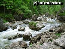 [P11] Bicazul 'dansează' printre stânci. » foto by corinka
 - 
<span class="allrVoted glyphicon glyphicon-heart hidden" id="av106102"></span>
<a class="m-l-10 hidden" id="sv106102" onclick="voting_Foto_DelVot(,106102,3314)" role="button">șterge vot <span class="glyphicon glyphicon-remove"></span></a>
<a id="v9106102" class=" c-red"  onclick="voting_Foto_SetVot(106102)" role="button"><span class="glyphicon glyphicon-heart-empty"></span> <b>LIKE</b> = Votează poza</a> <img class="hidden"  id="f106102W9" src="/imagini/loader.gif" border="0" /><span class="AjErrMes hidden" id="e106102ErM"></span>