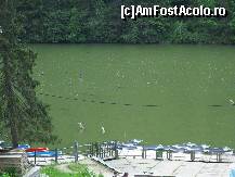 [P15] Trunchiurile copacilor au rămas drept mărturie a pădurii înecate. » foto by corinka
 - 
<span class="allrVoted glyphicon glyphicon-heart hidden" id="av106109"></span>
<a class="m-l-10 hidden" id="sv106109" onclick="voting_Foto_DelVot(,106109,3314)" role="button">șterge vot <span class="glyphicon glyphicon-remove"></span></a>
<a id="v9106109" class=" c-red"  onclick="voting_Foto_SetVot(106109)" role="button"><span class="glyphicon glyphicon-heart-empty"></span> <b>LIKE</b> = Votează poza</a> <img class="hidden"  id="f106109W9" src="/imagini/loader.gif" border="0" /><span class="AjErrMes hidden" id="e106109ErM"></span>