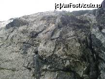 [P08] Stâncile acoperă refugiul tarabagiilor. » foto by corinka
 - 
<span class="allrVoted glyphicon glyphicon-heart hidden" id="av106096"></span>
<a class="m-l-10 hidden" id="sv106096" onclick="voting_Foto_DelVot(,106096,3314)" role="button">șterge vot <span class="glyphicon glyphicon-remove"></span></a>
<a id="v9106096" class=" c-red"  onclick="voting_Foto_SetVot(106096)" role="button"><span class="glyphicon glyphicon-heart-empty"></span> <b>LIKE</b> = Votează poza</a> <img class="hidden"  id="f106096W9" src="/imagini/loader.gif" border="0" /><span class="AjErrMes hidden" id="e106096ErM"></span>