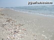 [P05] la marginea ,,statiunii,,sa zic asa... » foto by catahappy
 - 
<span class="allrVoted glyphicon glyphicon-heart hidden" id="av17749"></span>
<a class="m-l-10 hidden" id="sv17749" onclick="voting_Foto_DelVot(,17749,3329)" role="button">șterge vot <span class="glyphicon glyphicon-remove"></span></a>
<a id="v917749" class=" c-red"  onclick="voting_Foto_SetVot(17749)" role="button"><span class="glyphicon glyphicon-heart-empty"></span> <b>LIKE</b> = Votează poza</a> <img class="hidden"  id="f17749W9" src="/imagini/loader.gif" border="0" /><span class="AjErrMes hidden" id="e17749ErM"></span>