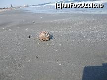 [P07]  -- <small>// FĂRĂ DESCRIERE</small> » foto by catahappy
 - 
<span class="allrVoted glyphicon glyphicon-heart hidden" id="av17751"></span>
<a class="m-l-10 hidden" id="sv17751" onclick="voting_Foto_DelVot(,17751,3329)" role="button">șterge vot <span class="glyphicon glyphicon-remove"></span></a>
<a id="v917751" class=" c-red"  onclick="voting_Foto_SetVot(17751)" role="button"><span class="glyphicon glyphicon-heart-empty"></span> <b>LIKE</b> = Votează poza</a> <img class="hidden"  id="f17751W9" src="/imagini/loader.gif" border="0" /><span class="AjErrMes hidden" id="e17751ErM"></span>